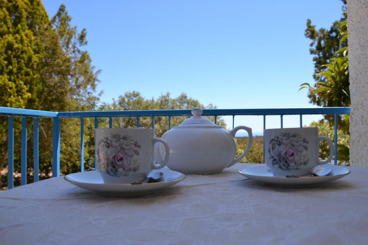 Casa Indipendente Immersa Nel Verde Con Vista Mare ドルガーリ エクステリア 写真